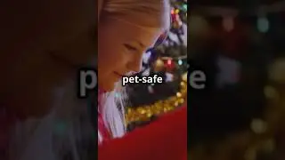 #PetRoutine 🛏️#PetTrainingTips 🎓#PetHealthTips 🩺#PetGroomingTips 🛁#AnimalCare 🐕#CaringForDogs 🐾