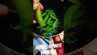 My Peas N' Beans VS. Other Homegrown Peas #peas #food #cooking #cook #homegrown #grow #homecook
