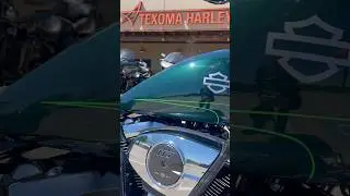 2024 Street Glide #texomaharley #alpinegreen #custompinstripe