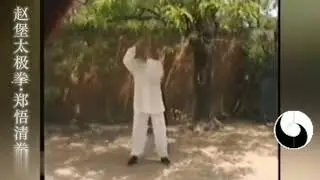 Master Jun Zheng practicing Zhaobao TaiChi，Zhaobao Wuqing  Zheng Tai Chi