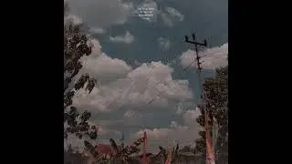 (FREE FOR PROFIT) 