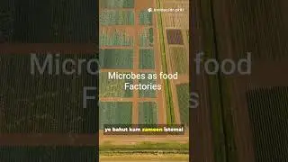 The Future of Food: Grown by Microbes #microbesasfoodfactories