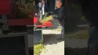 Leaf And Stem Separating Machine