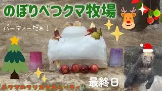 【2025/12④】子グマのクリスマスパーティ🎄最終日
