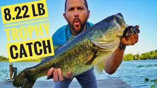 8lb Largemouth Bass Trophy Catch Submission