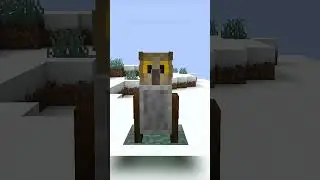 owl buildhack #minecraft