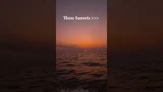 Parties In Goa Are Fun, But These Sunsets 🫶🫶