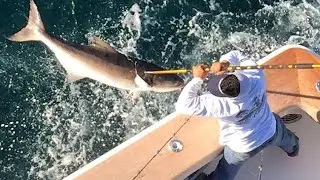 Gulf Coast's Sportsman Seminar Series: Catchin' Cobia