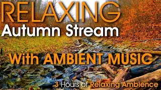 3 Hour Relaxing Rocky Stream in Beautiful Autumn Woods with Soothing Sounds of Water and Music
