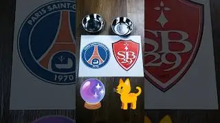 🔮🐈&zwj;⬛ PSG vs. Stade Brest &ndash; 1-0 for Paris? 🏆🔥