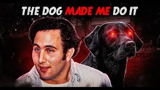 SHOCKING Details About The David Berkowitz Case!