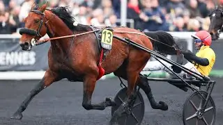 IT&rsquo;S A DOLLARMAKER wins the Finale du Grand National du Trot