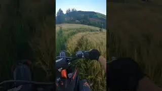 SUMMER IS HERE 😄 #viral #ktm #foryou