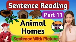Animal And Their Homes Sentence With Picture and Animation Learn With Fun Part 11@smart1985