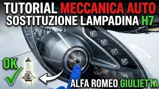 Cambiare lampadina Alfa Romeo Giulietta h7 fulminata