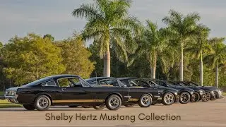 AMCM's Shelby Mustang GT-H Collection
