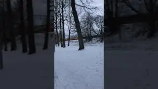 Intercity&rsquo;s staan opgesteld in weert vanwegen winterweer
