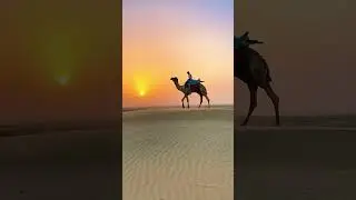 Camel Safari in Jaisalmer | Thar Desert Adventure with India Uncharted