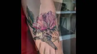 Turtle Tattoo Designs