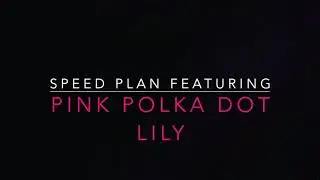 Speed Plan | Penny Pages B6 Coil | B6 Planner | Pink Polka Dot Lily