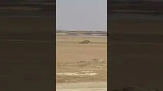 Mirage Appears in Egypt&rsquo;s Sahara Desert as Refracted Light Rays Create Illusion of a River of Water