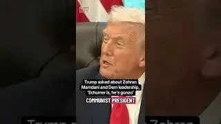 Trump on Mamdani and Schumer