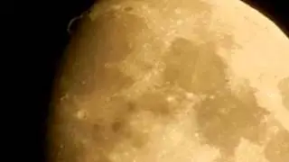 Солнышко Фокстерьер  Плывут Лунные облака Lunar Clouds float