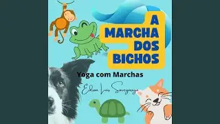 A Dan&ccedil;a do Camelo