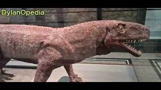 Manchester Museum | A DylanOpedia Adventure #museum #kids #india #education