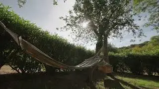An Oasis in the Heart of Ibiza: Can Lluc Rural Hotel