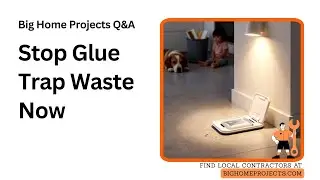 Common Mistakes with Reusable Glue Traps