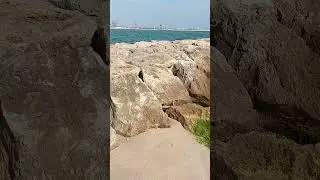 #puerto #mar #espig&oacute;n 🏗