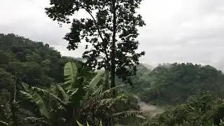 #lumpee #lampi #lumpi      Bike ride to Lumpee | unexplored Assam | coldest place of Assam । লাম্পী
