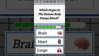 Fun Quiz Challenge ❓ Can You Answer These Simple Science Questions? | Brain Teaser