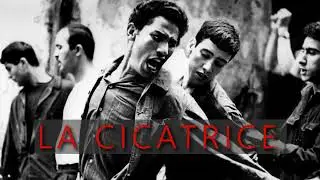 La cicatrice