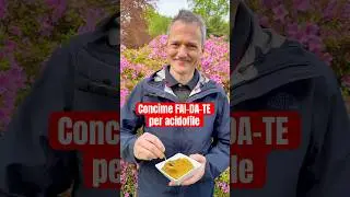 concime fai-da-te naturale per acidofile. #giardinaggio #giardino #piante #fiori #faidate #natura