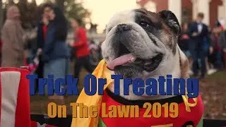 UVA's Trick or Treating On The Lawn 2019