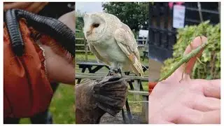 Herrings Green Activity Farm Videography Cinematic Video United Kingdom Film Makers