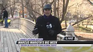 Marcus Fever - Chris in Central Park, Ramsay at St, Louis School