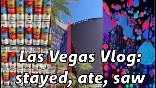 LAS VEGAS VLOG | Resorts World, Bazaar Meat, Arte Museum, Stubborn Seed, Area 15 Omega Mart