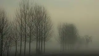 Sonate -Randy Hoexter