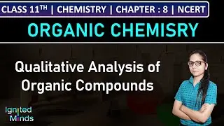 Class 11th Chemistry | Qualitative Analysis of Organic Compounds | Chapter 8: Organic Chemistry