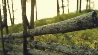 Short documentary: Business culture in Finland