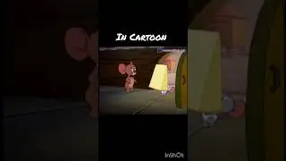 Funny cat and mouse teaching their students.