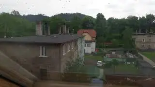 Lubawka atak dzikich OS