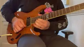 IN FLAMES - DECEMBER FLOWER Solo Cover