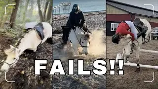 FAILS 2024 & 2025