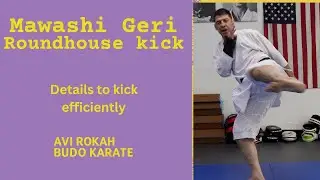 Mawashi Geri - details for efficient roundhouse kick