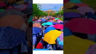Students Protest @RGUKT Basar  #rguktbasar #iiitbasar #rgukt #iiit #rguktiiit #iiit
