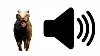 Козлиный крик | Goat Scream